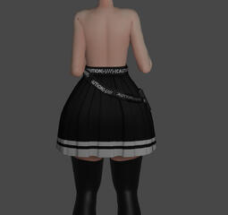 skirt back